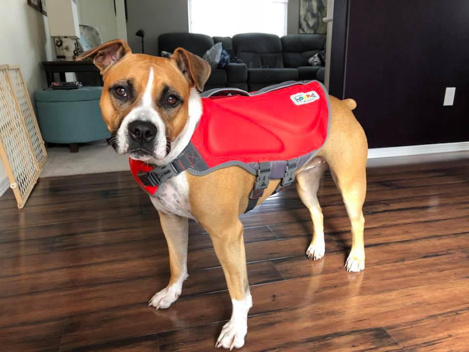 Outward Hound Dawson Dog Life Jacket - Red - Small